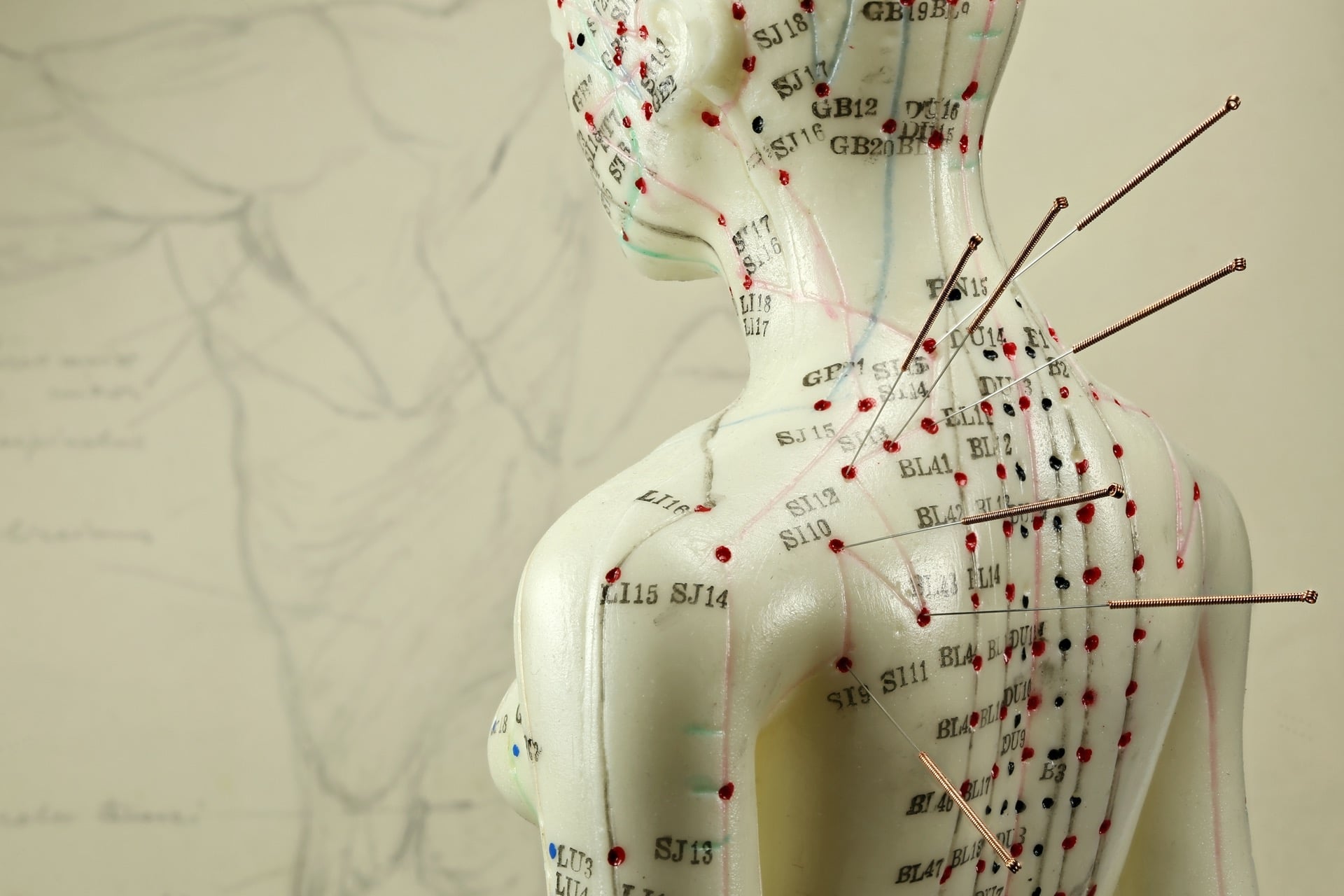 How Acupuncture Works To Relieve Chronic Pain Inner Works Acupuncture