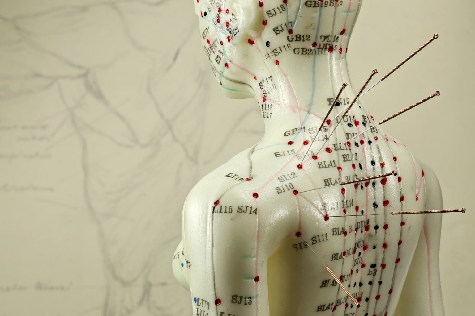 Acupuncture For Back Pain | Portland | Inner Works Acupuncture